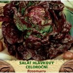 Salát hlávkový celoroční červený 'SAHIM' -  Lactuca sativa