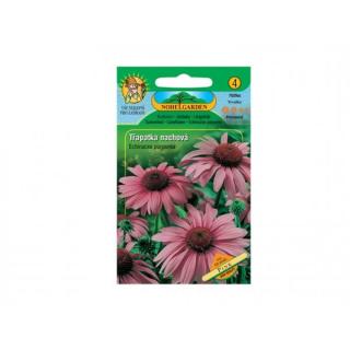 Třapatka náchová  ( růžová )- Echinacea purpurea '