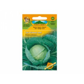 Zelí hlávkové .letní  'KALIBRO' F1 - Brassica olerace