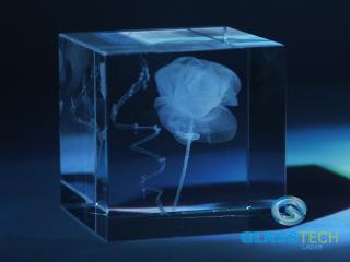 3D Koronavirus ve skl. krychli 80 mm (Laserovaný 3D objekt v křišťálové krychli )