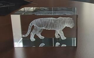 3D tygr ve skl. kvádru 60 x 60 x 110 mm (Skleněné těžítko)