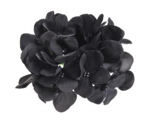 Květ hortenzie - černý