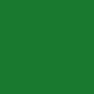 Barvy na textil - DUHA Zelená