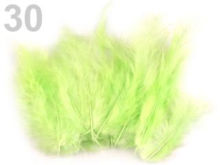 Pštrosí peří 9-16 cm, balení 20ks - různé barvy 30 - Světle zelená