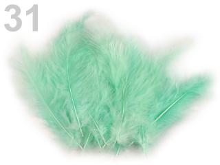 Pštrosí peří 9-16 cm, balení 20ks - různé barvy 31 - Mentolová