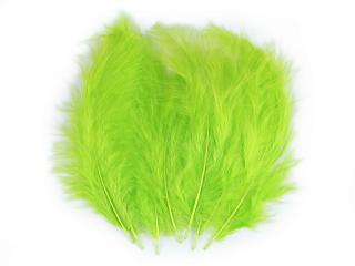 Pštrosí peří 9-16 cm, balení 20ks - různé barvy 52 - Zelená limetková