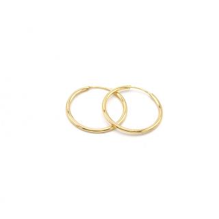 BB Goldinvestic Zlaté náušnice kruhy malé jemné 0,40g N5763-585/1000