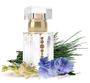 Dámský parfém 50 ml ESSENS w105 + DÁREK (new)