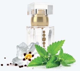 Dámský parfém 50 ml ESSENS w106 + DÁREK (new)