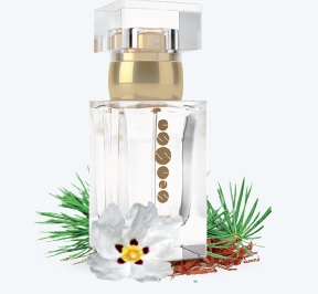 Dámský parfém 50 ml ESSENS w116 + DÁREK (new)