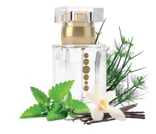 Dámský parfém Essens w149 50ml + DÁREK (new)