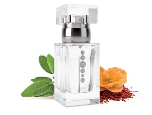Pánský parfém ESSENS m014 (new)