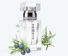 Pánský parfém ESSENS m016 (new)