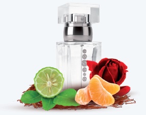 Pánský parfém ESSENS m017 (new)