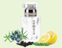 Pánský parfém ESSENS m026 50ml (new)