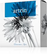 Energy Artrin přírodní mýdlo 100 g (Mýdlo Artrin)