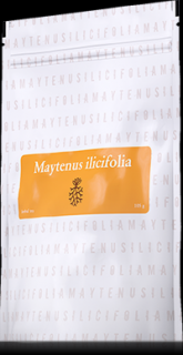 Energy čaj Maytenus ilicifolia 105 g - kosti a klouby (Maytenus ilicifolia  terapeutický čaj)
