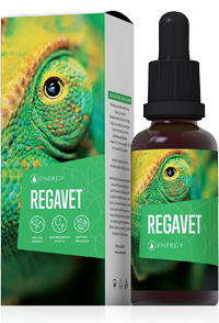 Energy Regavet 30 ml - veterinární produkt (Regavet)