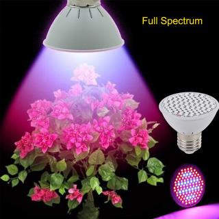LED ŽÁROVKA NA RŮST KVĚTIN 10W 106 LEDs Full Spectrum (FULL SPECTRUM. Tato stimulující žárovka vyzařující barevné světlo (kombinací červených a modrých světýlek) vytváří vhodné světelné podmínky pro rostliny a stimuluje jejich růst. Je energeticky úsporná