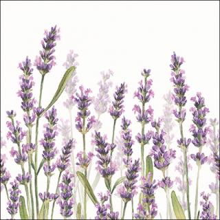 Ubrousky levandule Lavender Shades 20ks/bal 3-vrstvé (Ubrousky s motivem levandule, 3-vrstvé, papírové. Balení obsahuje 20ks ubrousků.)