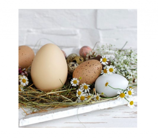 Ubrousky vejce přírodní 20ks/bal (Balení 20ks 3-vrstvých kvalitních papírových ubrousků s velikonočním motivem. )