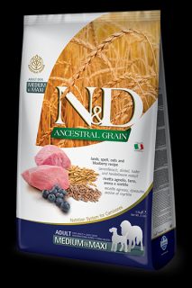 N&amp;D LG DOG Adult M/L Lamb &amp; Blueberry 12kg