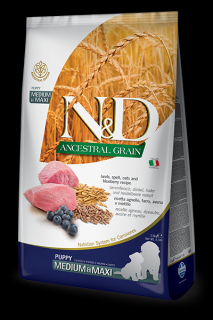 N&amp;D LG DOG Puppy M/L Lamb &amp; Blueberry 12kg