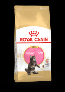 Royal Canin Feline BREED Kitten Maine Coon 400g