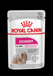 Royal Canin mini Exigent