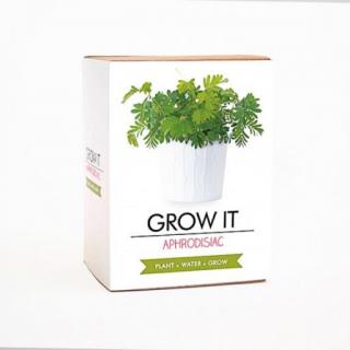 Gift Republic Grow it, afrodiziakální rostlina