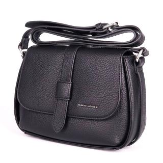 Malá pevná černá crossbody kabelka David Jones CM6871