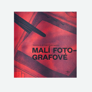 Kniha Malí fotografové