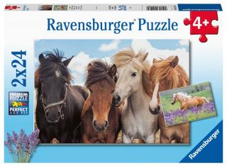 Fotky koní - puzzle - 2 x 24 dílků