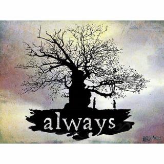 Harry Potter - obraz na plátně - Always
