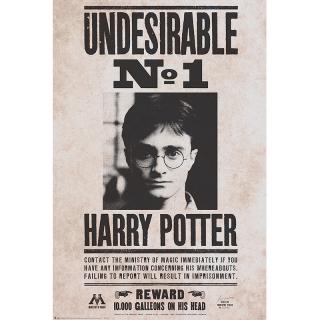 Harry Potter - plakát - Undesirable n°1