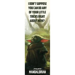 Star Wars: Mandalorian - plakát na dveře - Special Tricks