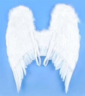 Angels Wings Křídla anděl péřová 53 x 60cm + dárek MAXY 1ks 2324