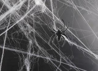Halloween pavučina spiders- + 2 ZDARMA MAXY 1ks 2506