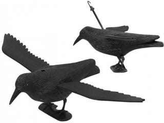 Odpuzovač holubů a ptáků Havran 38 cm + dárek MAXY 1ks 2565