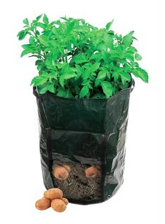 Zahradní vak na brambory 470 x 330 mm + dárek MAXY 1ks 2480