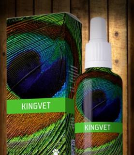 Energy Kingvet 30ml