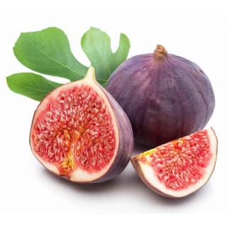 WILD FIG (divoký fík) parfém do svíček 10 ml