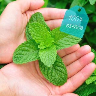 100% Esence Máta (Mentha Cardiaca)