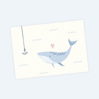 pohlednice velryba