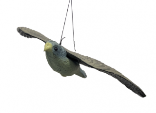 Bradas Plašič ptáků létající sokol 3D maketa CTRL-BR104