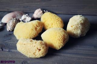 Jemná mořská houba přírodní žlutá (Mořská houba  z Bahamských ostrovů 5 - 6 cm)
