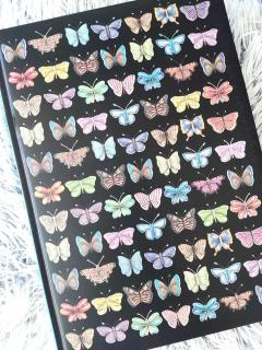 ZÁPISNÍK A4 - Sbírka motýlů