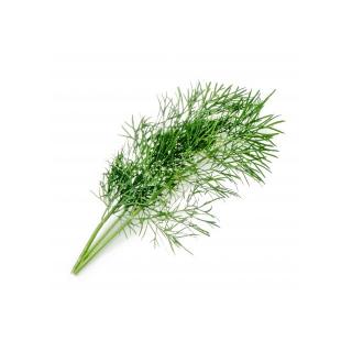 Lingot pro chytré květináče Véritable Kopr BIO