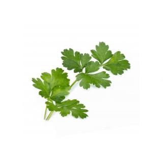 Lingot pro chytré květináče Véritable Petrželka BIO