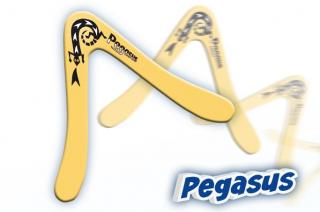 Bumerang PEGASUS polypropylen (&lt;p&gt;&lt;span style= font-family: verdana,geneva; font-size: 14pt; &gt;Bumerang PEGASUS polypropylen - Günther. &lt;/span&gt;&lt;/p&gt;)